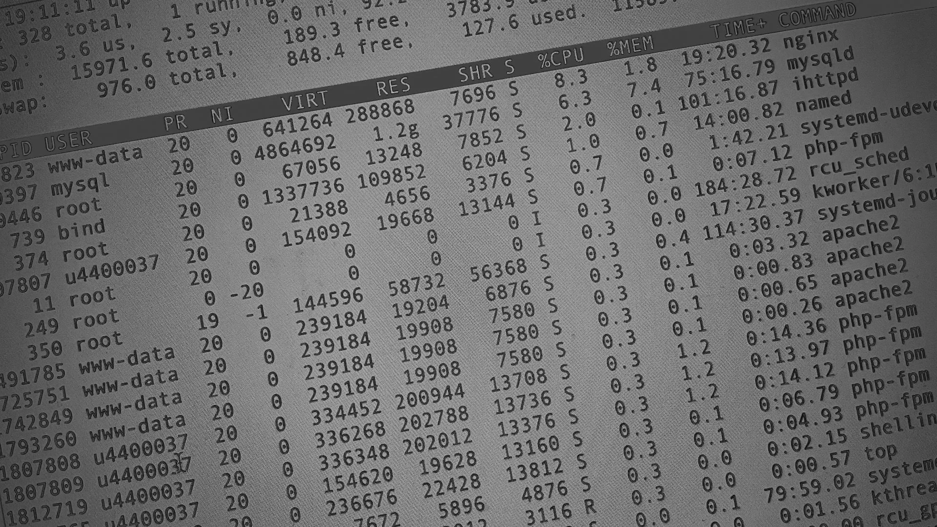 Настройка сервера в Суворове