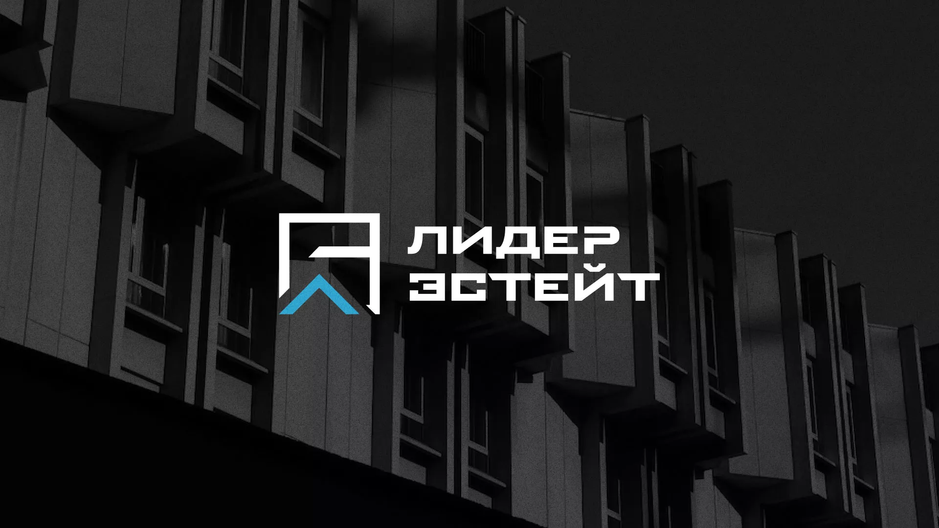 Разработка логотипа агентства недвижимости «Лидер Эстейт» в Суворове