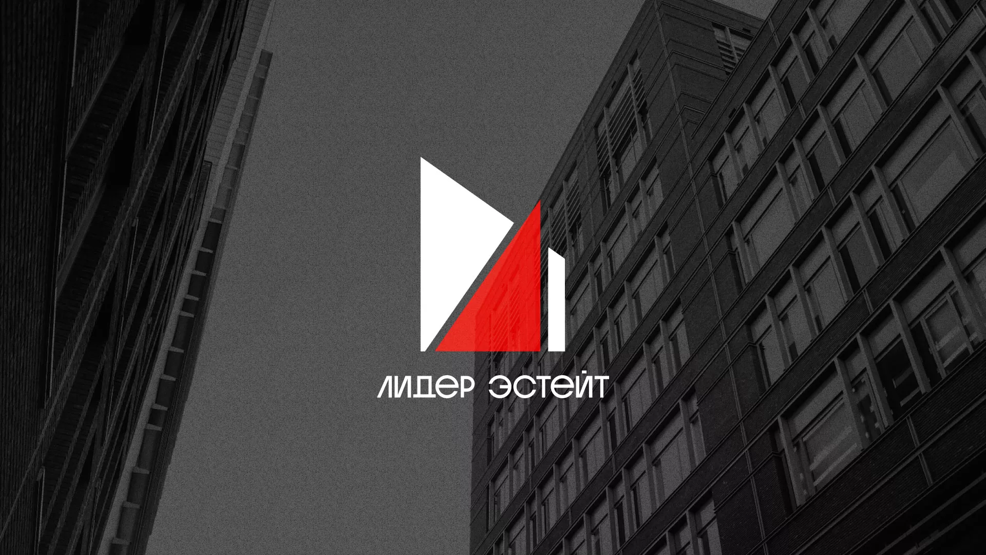 Сделали логотип для агентства недвижимости «Лидер Эстейт» в Суворове